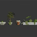 Various Indoor Plants with Different Planters Including White Ceramic and Clay Pots 3d model