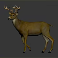 Realistic Brown Deer With Large Shiny Antlers Decorative Sculpture Standing On Gray Background