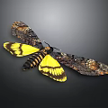 Vibrant Moth With Yellow And Black Patterned Spread Wings Isolated On Dark Background 3d model