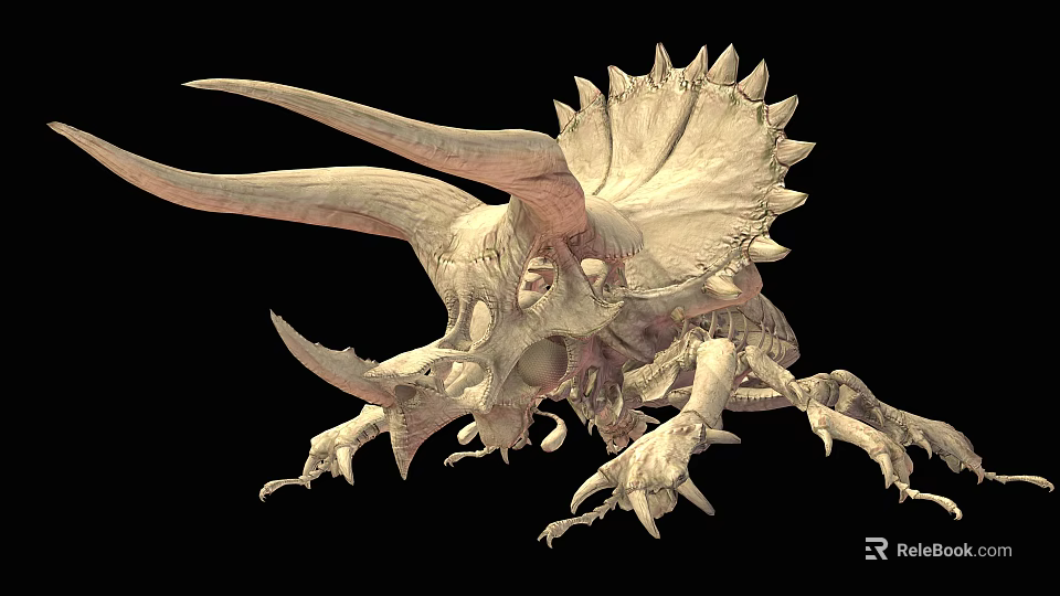 Prehistoric Creature Skeleton with Back Spines and Detailed Bony Structure Display Model 3d model 