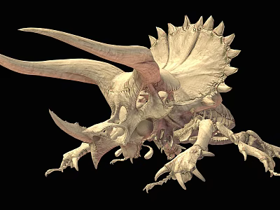 Prehistoric Creature Skeleton with Back Spines and Detailed Bony Structure Display Model 3d model