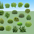 Various Types Of Green Arbor Trees With Different Shapes And Foliage