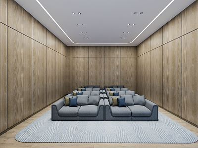 modern video room model