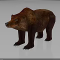 Reddish Brown Bear 3D Model With Detailed Texture And Realistic Rendering