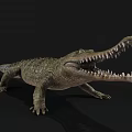 Reptile Crocodile with Open Mouth Sharp Teeth and Green Scales on Black Background