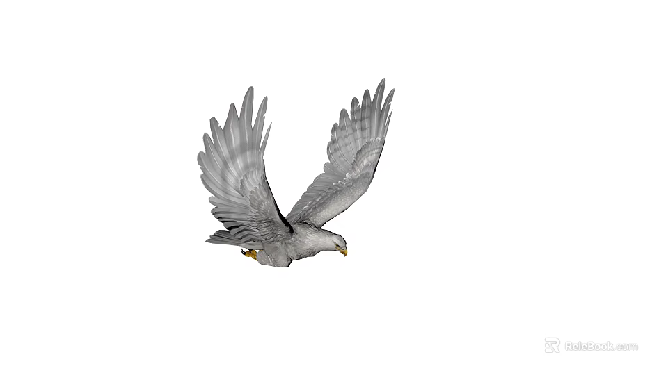 Majestic Wild Eagle Flying With Spread Wings In Clear Blue Sky 3d model 