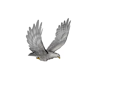 Majestic Wild Eagle Flying With Spread Wings In Clear Blue Sky 3d model
