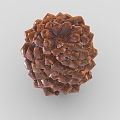 pine cone cartoon pine cone 1 hazelnut hazelnut dried fruit pine nuts 3d model