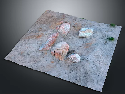 Natural Sandy Ground Scene With Scattered Stones And Small Green Grass Tufts 3d model