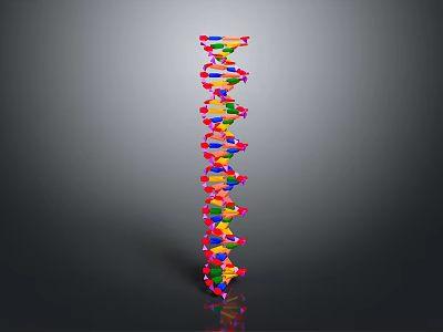 Colorful DNA Double Helix Molecular Structure 3D Rendering on Dark Background 3d model