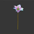 Decorative Ornament Combination For Home Decor With Purple Blue Gradient Flower And Green Stem