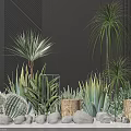 Potted Plants With Cactus Succulents Tall Green Plants Stones Cylindrical Pots And Striped Wall Decor