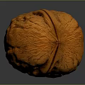 Close Up View Of Whole Brown Walnut With Textured Shell On Dark Background