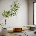 Contemporary Coffee Tables with Round White Orange Tops Metal Bases Wooden Floor Green Plant