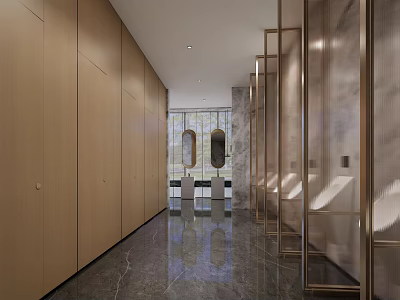 Spacious Modern Luxury Public Toilet With Wooden Cabinets Marble Walls Gold Partitions Washbasins And Mirrors 3d model