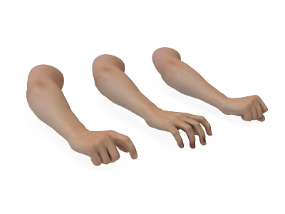 Artistic Decorative Figurine Set Featuring Arm Models With Various Hand Gestures 3d model