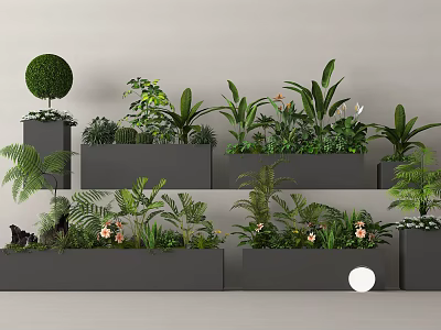 Diverse Green Plants With Ferns Round Topiaries And Flowers In Modern Planters 3d model