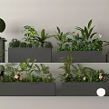Diverse Green Plants With Ferns Round Topiaries And Flowers In Modern Planters