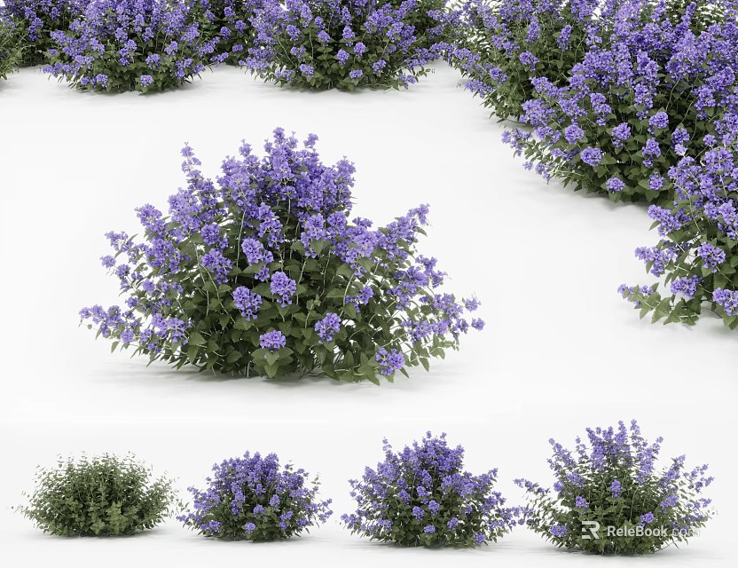 Multiple Vibrant Purple Flower Bushes With Lush Green Leaves Growing In Garden 3d model 