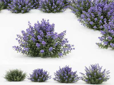 Multiple Vibrant Purple Flower Bushes With Lush Green Leaves Growing In Garden 3d model