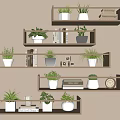 Bonsai Potted Plants Displayed on Wooden Shelves with Books and Decorative Items