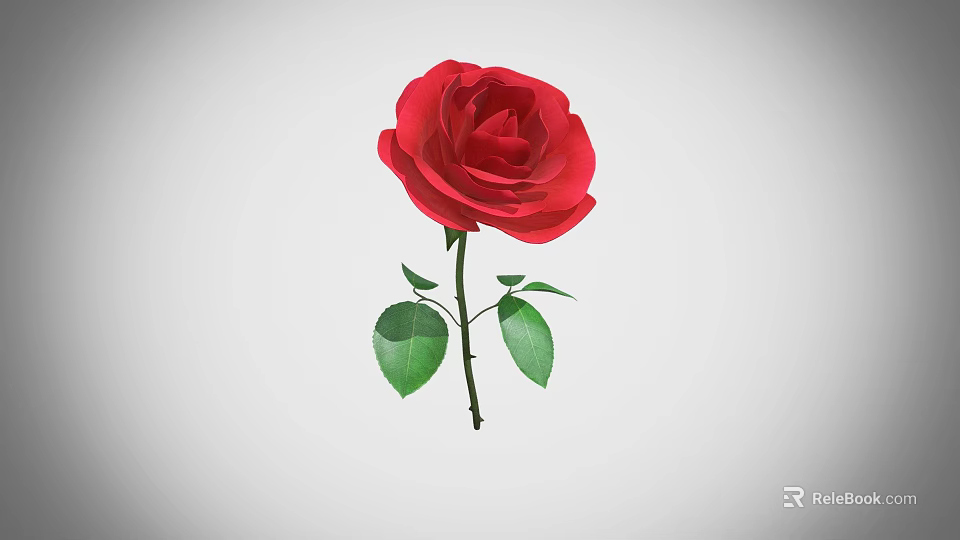 Elegant Red Rose in Decorative Vase with Fresh Green Leaves and Stem 3d model 