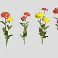 Vibrant Red and Yellow Flowers with Green Stems and Leaves Arranged on Grey Background