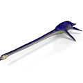 Realistic 3D Model of Long Neck Marine Reptile Plesiosaur With Blue Body