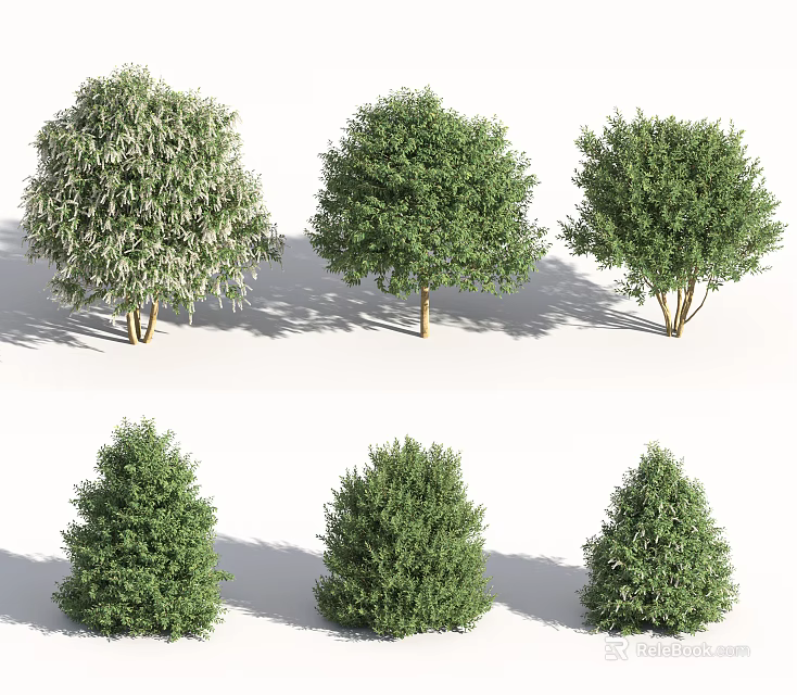 Diverse Arbor Trees Displaying Various Shapes and Lush Green Foliage 3d model