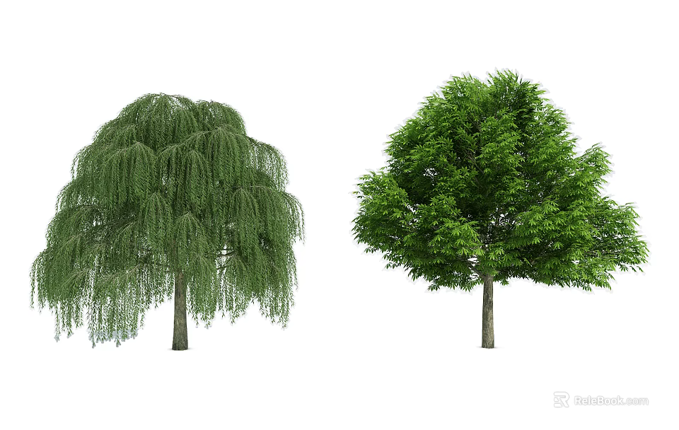 Two Different Arbor Trees With Drooping Branches And Round Canopy Lush Green Leaves 3d model 