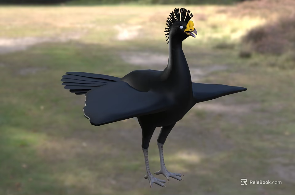 Black Flying Bird With Yellow Beak Crested Head Spread Wings Standing On Grassland 3d model 