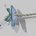 Realistic Dragonfly with Vibrant Blue and Purple Transparent Wings and Green Body as Flying Insect