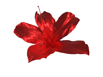 Vibrant Red Flower With Shiny Petals And Central Stamen Details 3d model