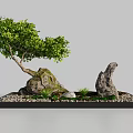 Rockery Stones Decorative Setup With Green Tree Small Pebbles And Plants In Black Tray
