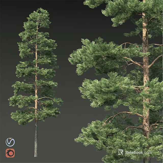 Natural Green Decorative Ornament Set With Lifelike Pine Tree Branches And Leafy Foliage 3d model 