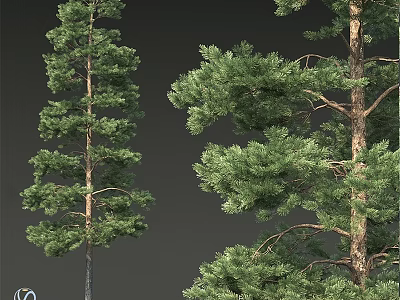 Natural Green Decorative Ornament Set With Lifelike Pine Tree Branches And Leafy Foliage 3d model