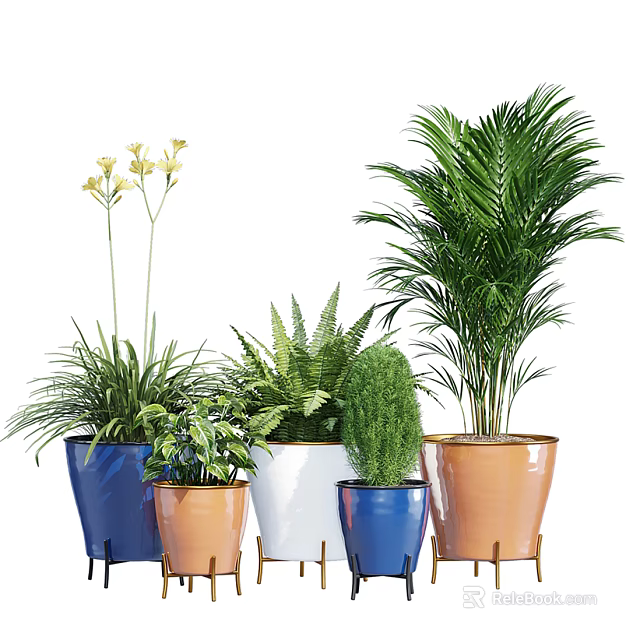 Various Types of Bonsai Potted Plants in Colorful Ceramic Pots for Indoor Decor 3d model 