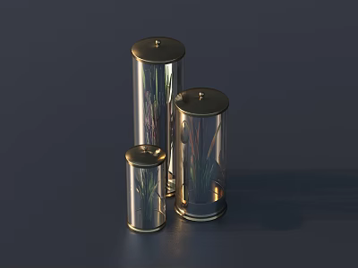 Transparent Cylindrical Vases With Gold Lids Holding Decorative Plants On Dark Background 3d model