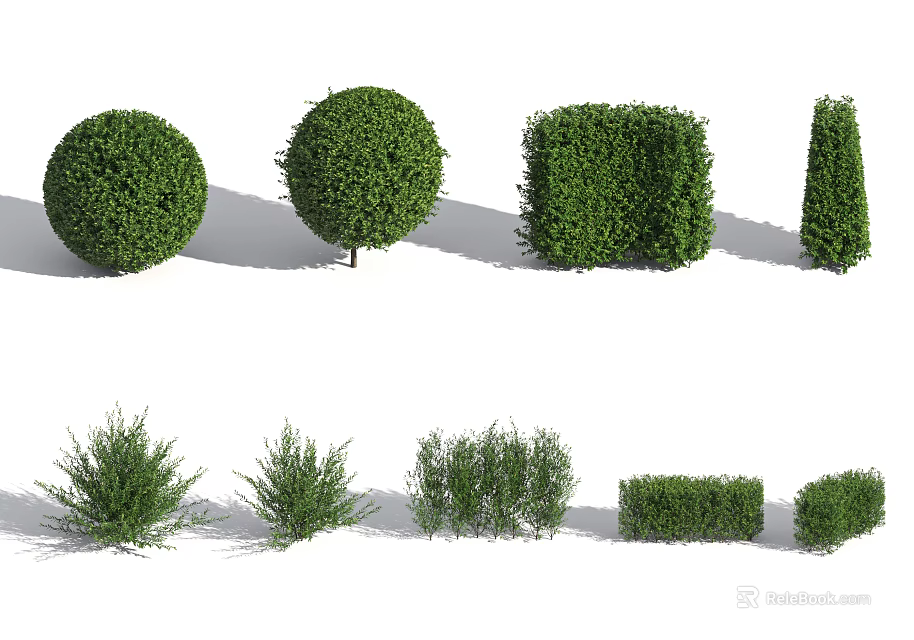 Various Shaped Garden Shrubs with Round Square Cone and Natural Forms 3d model