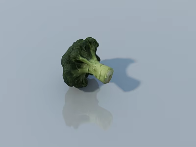 Fresh Green Broccoli Floret on White Reflective Surface with Shadow 3d model