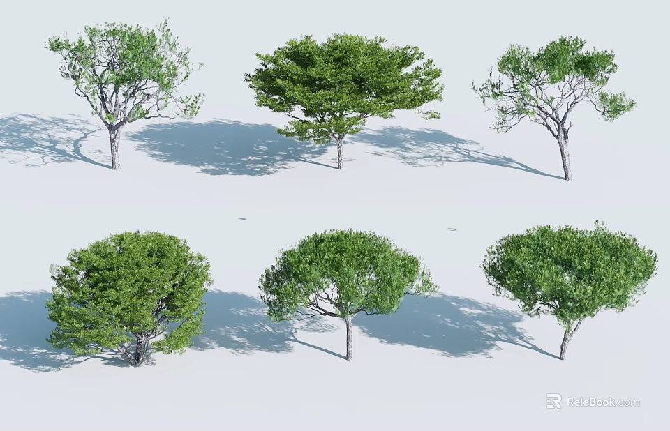 Various Green Arbor Trees With Different Canopy Shapes On Light Background 3d model