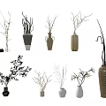 Various Decorative Vases With Dried Branches And Plants For Home Decor 3d model