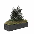 Ornamental Decoration Combination with Green Tree and Grass in Black Rectangular Planter Box 3d model
