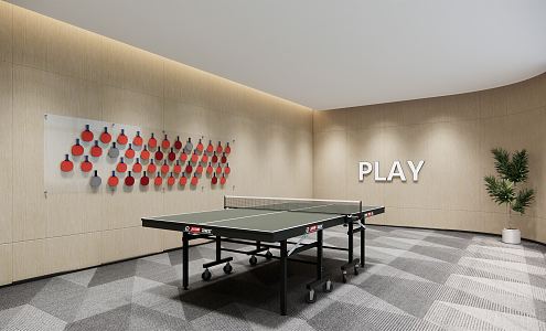 Modern table tennis room 3d model