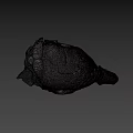 Ancient Fossil Skull Specimen Number 44 85 From Science Lab University of Nevada