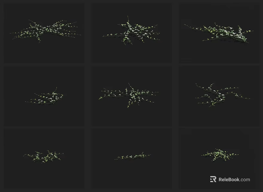Green Plants In Different Forms Against Black Background Decorative Design Elements 3d model