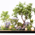 Decorative Miniature Garden Landscape With Tree Various Plants Flowers And Lights