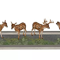 Spotted Reptiles In Natural Habitat With Green Plants And Gravel Ground