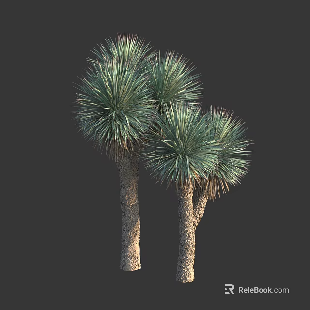 Three Tall Trees With Thick Trunks And Vibrant Green Spiky Foliage 3d model 