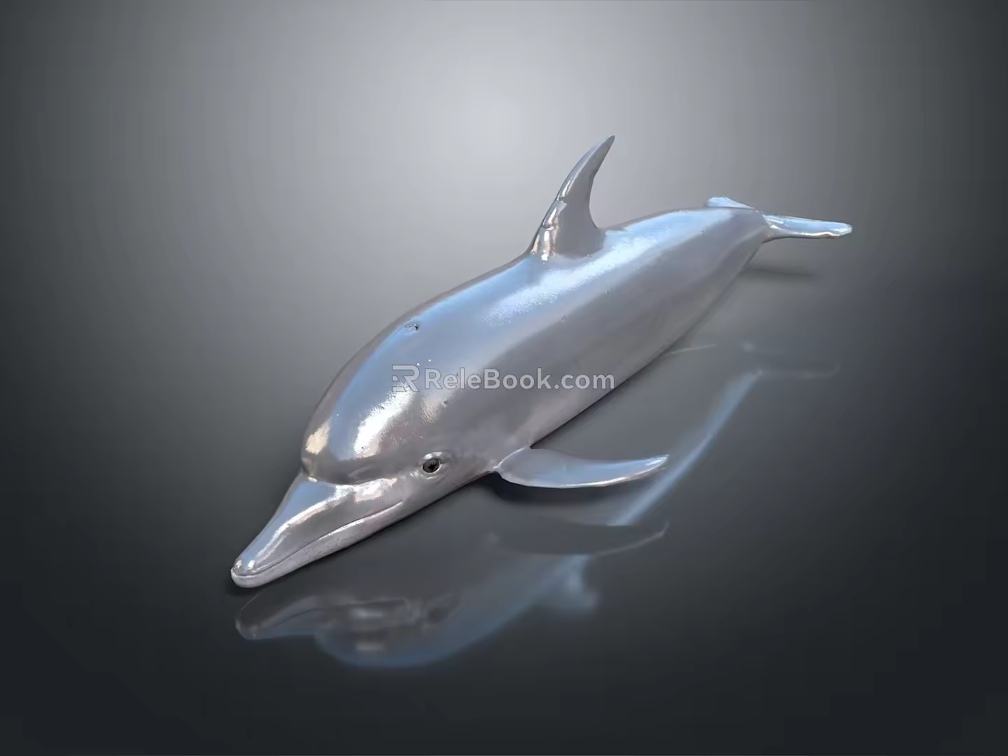 Spotting Dolphin Dolphin Cartoon Dolphin Animation Dolphin Animation Dolphin Animation Character Game Character 3d model